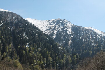 view of the mountains