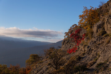 Red autumn leaves of a tree on a background of blue sky in the mountains