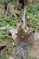 Water from the fountain
