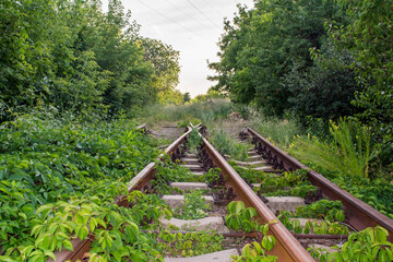 The abandoned railroad was overgrown with grass.