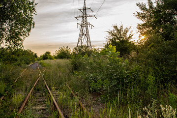 The abandoned railroad was overgrown with grass.