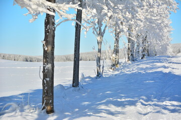 Winter