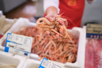 young woman's hand teaches shrimp in the fish shop to her customers