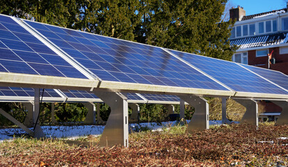 Blue solar panels on a sedum green rooftop garden in the winter on behalf of sustainable energy and...