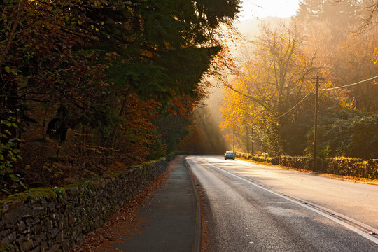 road in North Wales in the early morning