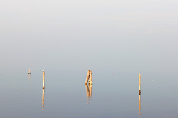 wooden poles in the water 