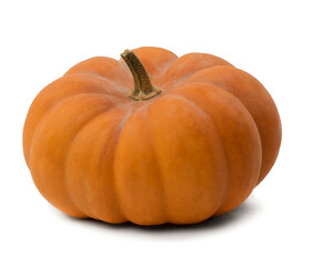 Pumpkin, isolated  with copy space . Pumpkin banner . Autumn vegetable. Halloween. Orange pumpkin. Harvest. Foodstuff .