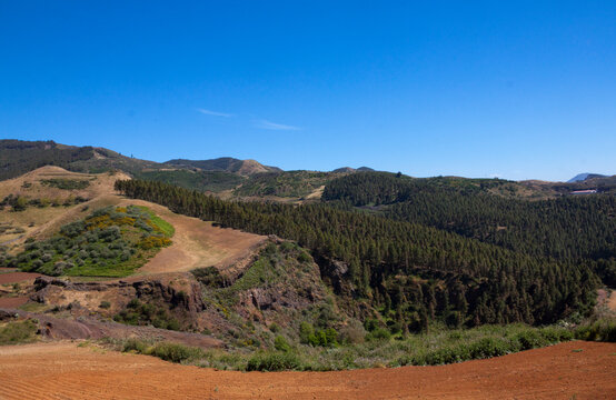 Landscape of Lomo del Palo in Gran Canaria
