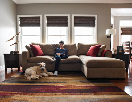 Boy reading on couch in living room with dog in the daytime.
