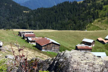 house in the mountains