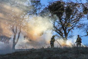 Firemen at Work