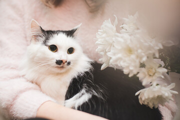 bright and pleasant photo about caring for a cat and flowers