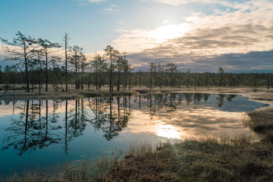 Lake at Viru Raba or bog swamp at Lahemaa national park in autumn