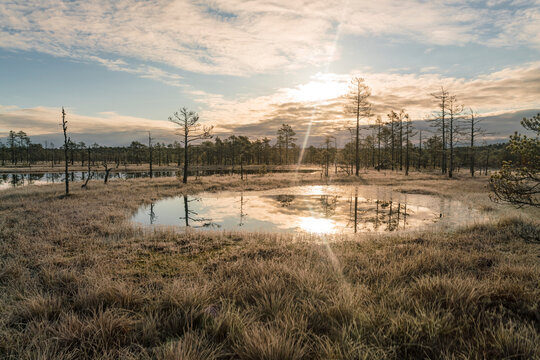 Lake at Viru Raba or bog swamp at Lahemaa national park in autumn