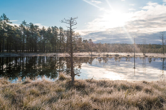 Lake at Viru Raba or bog swamp at Lahemaa national park in autumn