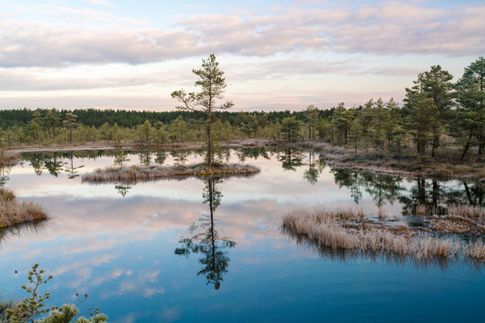 Lake at Viru Raba or bog swamp at Lahemaa national park in autumn