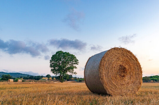 Rural village with straw bales at sunset on the Mediterranean coast
