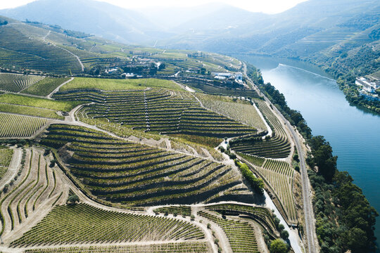 Douro Vineyards from aerial view