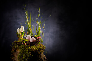 Ostern Frühling in der Natur