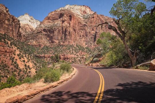 Main road in Zion National Park