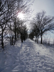 Der schwarze Weg in der Nähe von Nordhausen ist weiß vom Schnee
