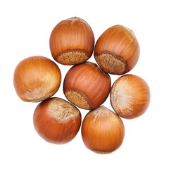 Handful of hazelnuts isolated on white background. Hazelnuts laid out in the shape of a flower.