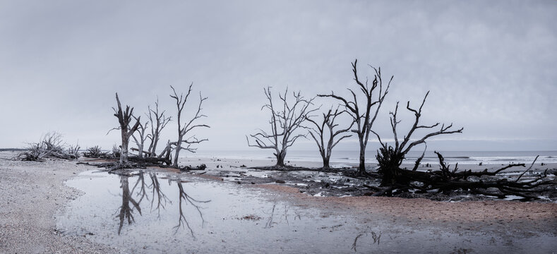 Botany Bay beach panorama at cloudy day, Edisto Island, South Carolina, USA