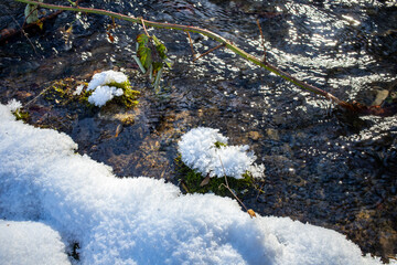 winterlicher Bachlauf