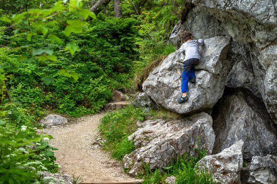 Young boy climbing a rock next to the trail during hike in the forest