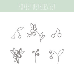 Fototapeta premium Forest Berries and herbal set. Graphic collection with fantasy field herbs. Hand drawn elements. Botanical elements for design on a white background. Sketch of branch, foliage,leaves, berries