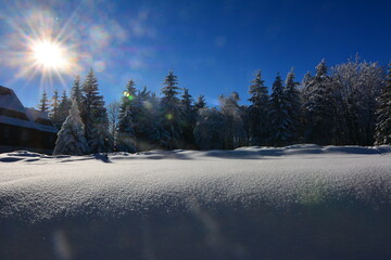 Winter