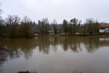 A closeup view of the branches of the trees and the dirty lake on a gloomy fall day