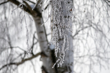 bitter cold winter morning