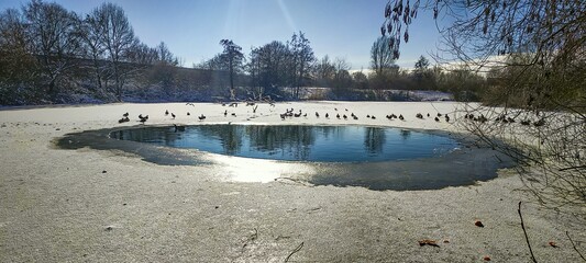 Winter in Hannover