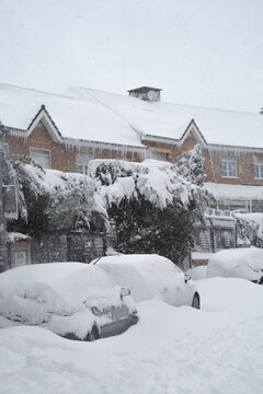 Snowy Neighborhood