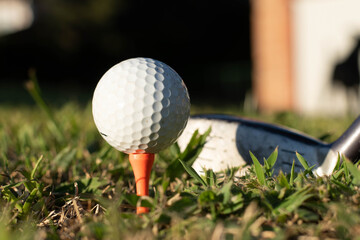 tee stand on grass hole tee and golf ball at sunset