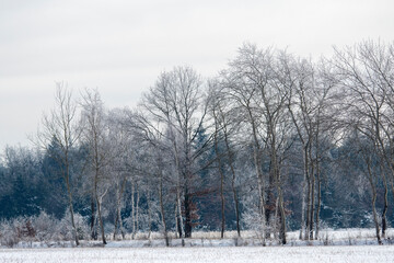 bitter cold winter morning