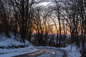 Blick durch Bäume als Silhouetten auf Sonnenuntergang
