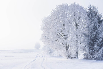 Snow covered fields with path and trees, winter country rural landscape