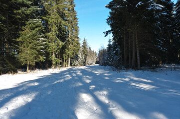 Der schwarzwald mit schnee, lichtungen, blauem himmel und mit licht und schatten...