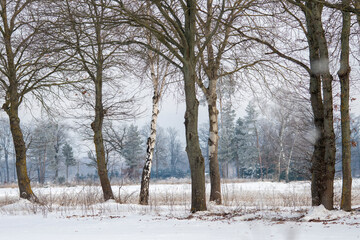 bitter cold winter morning