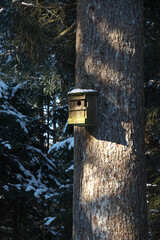 Nistkasten im Wald, mit bäume und schnee