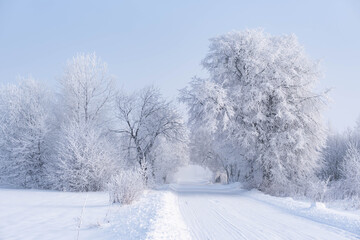 Beautiful winter landscape with snow-covered road, cold sunny winter morning in the country, with white trees covered with frost, winter photography with mist, fairytale-like atmosphere