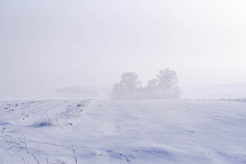 Rural misty winter landscape, fields covered with snow, trees covered with frost dissapearing in fog, fairytale aescethic