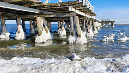 Icy pillars of the Sopot pier, Poland
