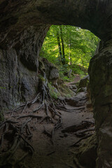 Schiessentümpel Cascade - Cascade de Müllerthal - Petite Suisse du Luxembourg

