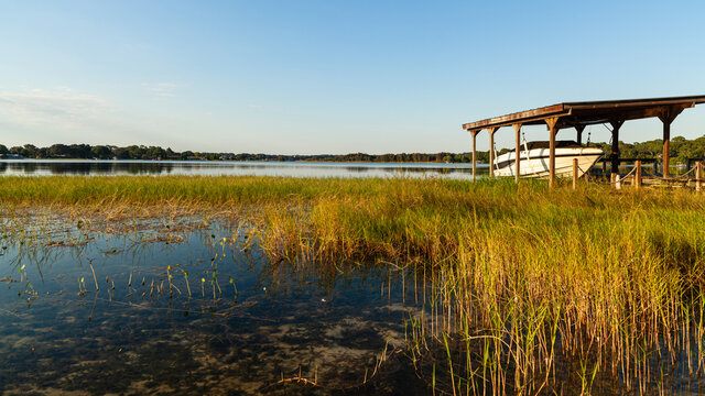 Lake Dora Landscape In Central Florida