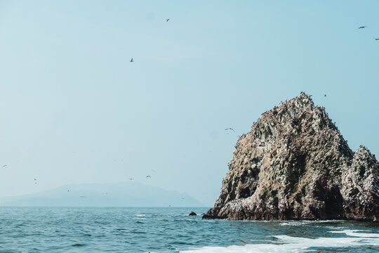 Sea birds on a rock formation, Islas Ballestas, Paracas, Peru