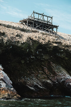 Birds stand on abandoned pier at edge of cliff, Islas Ballestas,Peru