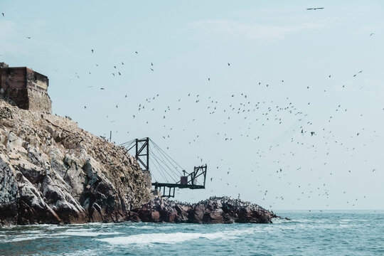 Birds fly over abandoned pier in Islas Ballestas, Paracas, Peru